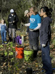 PCD Tree planting for Orca recovery Day 2024