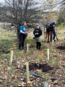 Green volunteers for Orca Recovery Day 2024